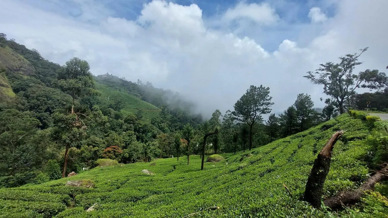 Haritha Homestay Munnar